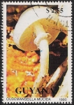 Stamps Guyana -  SETAS-HONGOS: 1.162.022,00-Oudemansiella mucida