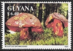 Sellos de America - Guyana -  SETAS-HONGOS: 1.162.031,00-Boletus satanas