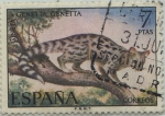 Stamps Spain -  fauna iberica-Gineta-1972
