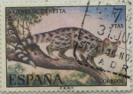 Sellos de Europa - Espaa -  fauna iberica-Gineta-1972