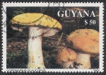 Stamps Guyana -  SETAS-HONGOS: 1.162.033,01-Cortinarius glaucopus -Phil.47638-Dm.991.218-Mch.3682-Sc.2465