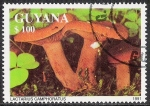 Stamps America - Guyana -  SETAS-HONGOS: 1.162.034,00-Lactarius camphoratus