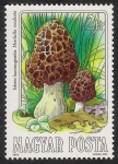 Stamps Hungary -  SETAS-HONGOS: 1.164.004,00-Morchella esculenta