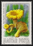 Stamps Hungary -  SETAS-HONGOS: 1.164.005,00-Cantharellus cibarius