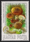 Stamps Hungary -  SETAS-HONGOS: 1.164.007,00-Armillariella mellea