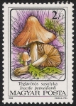 Stamps Hungary -  SETAS-HONGOS: 1.164.013,00-Inocybe patouillardii