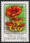 Stamps Hungary -  SETAS-HONGOS: 1.164.014,00-Omphalotus olearius