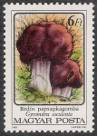 Stamps Hungary -  SETAS-HONGOS: 1.164.016,00-Gyromitra esculenta