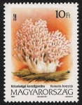 Stamps Hungary -  SETAS-HONGOS: 1.164.021,00-Ramaria botrytis