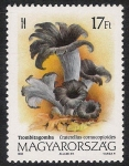 Stamps Hungary -  SETAS-HONGOS: 1.164.022,00-Craterellus cornucopioides