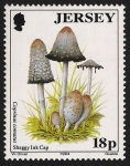 Sellos de Europa - Reino Unido -  SETAS-HONGOS: 1.170.011,00-Coprinus comatus