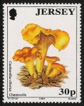 Sellos del Mundo : Europa : Reino_Unido : SETAS-HONGOS: 1.170.013,00-Cantharellus cibarius