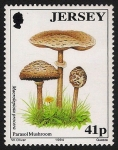 Stamps United Kingdom -  SETAS-HONGOS: 1.170.014,00-Macrolepiota procera