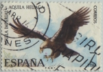 Stamps Spain -  fauna hispanica-Aguila imperial-1973