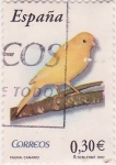 Stamps Spain -  Fauna: Canaria