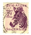 Stamps South Africa -  Cebra