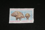 Sellos del Mundo : Europa : Espaa : matacandelas (lepiota procera)