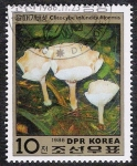 Stamps North Korea -  SETAS-HONGOS: 1.205.021,00-Clitocybe infundibuliformis
