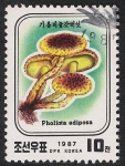 Sellos de Asia - Corea del norte -  SETAS-HONGOS: 1.205.031,00-Pholiota adiposa