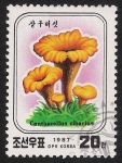 Stamps North Korea -  SETAS-HONGOS: 1.205.032,00-Cantharellus cibarius