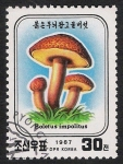Stamps North Korea -  SETAS-HONGOS: 1.205.033,00-Boletus impolitus
