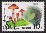 Stamps North Korea -  SETAS-HONGOS: 1.205.041,00-Recites caperata