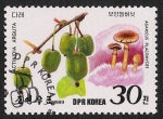 Stamps North Korea -  SETAS-HONGOS: 1.205.044,00-Actinidia arguta