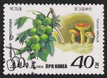 Stamps North Korea -  SETAS-HONGOS: 1.205.046,00-Juglans cordiformis