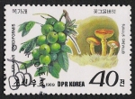 Sellos de Asia - Corea del norte -  SETAS-HONGOS: 1.205.046,00-Juglans cordiformis