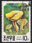 Stamps North Korea -  SETAS-HONGOS: 1.205.061,00-Hydnum repandum