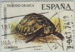 Stamps Spain -  fauna hispanica-tortuga terrestre-1974