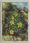 Stamps Spain -  Flora-Hypericum ericoides-1974