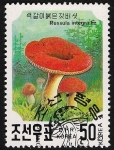 Stamps North Korea -  SETAS-HONGOS: 1.205.065,00-Russula integra