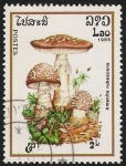 Stamps Laos -  SETAS-HONGOS: 1.174.004,00-Amanita rubescens