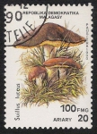 Stamps Madagascar -  SETAS-HONGOS: 1.182.002,00-Suillus luteus