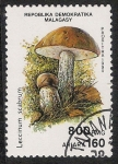 Stamps Africa - Madagascar -  SETAS-HONGOS: 1.182.006,00-Leccinum scabrum