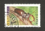 Stamps : Europe : Bulgaria :  insecto, lucane