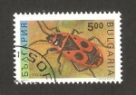 Stamps : Europe : Bulgaria :  insecto, pyrocorise