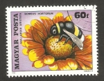 Stamps Hungary -  flor e insecto, gaillardia aristata, bombus hortorum