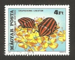 Stamps Hungary -  flores e insectos, petroselinum hortense, graphosoma lineatum