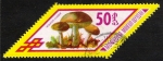 Stamps Mongolia -  SETAS-HONGOS: 1.192.014,00-Boletus scaber