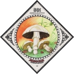 Sellos de Asia - Mongolia -  SETAS-HONGOS: 1.192.026,00-Agaricus silvaticus