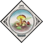 Stamps Mongolia -  SETAS-HONGOS: 1.192.027,00-Boletus edulis