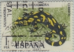 Stamps Spain -  fauna hispanica-Salamandra-1975