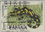 Sellos de Europa - Espaa -  fauna hispanica-Salamandra-1975