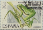 Stamps Spain -  fauna hispanica-Ranita de San Antonio-1975