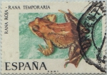 Stamps Spain -  fauna hispanica-rana temporaria-1975