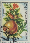 Stamps Spain -  flora-granado-1975