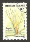 Stamps Africa - Togo -  ramaria moelleriana, champiñon