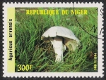 Stamps Africa - Niger -  SETAS-HONGOS: 1.202.004,00-Agaricus arvensis